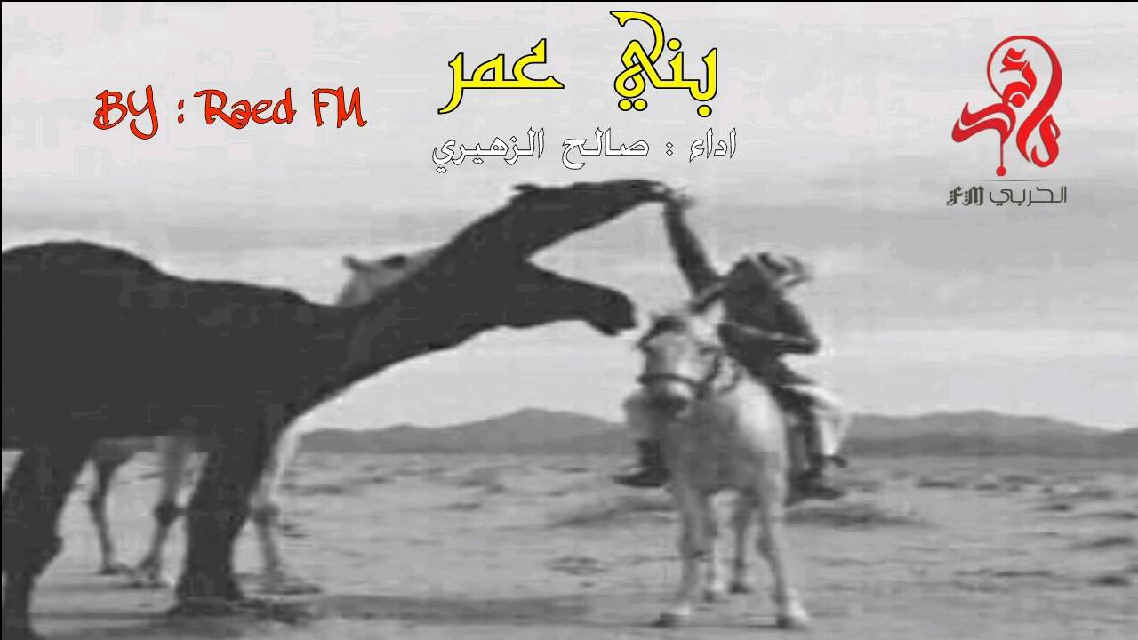 شيلة - بني عمر ، حرب الحرايب | صالح الزهيري