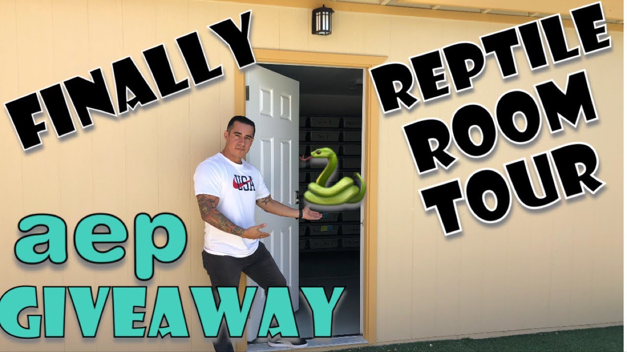 NEW REPTILE ROOM TOUR !