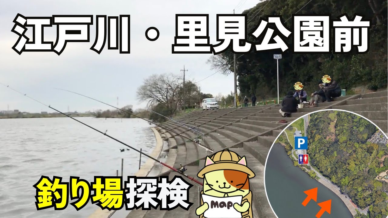 駐車横が釣り場「市川市里見公園前」釣り場探検｜トイレと無料駐車場があり、シーバス、うなぎ、そして幻の魚も狙える足場のいい釣り場