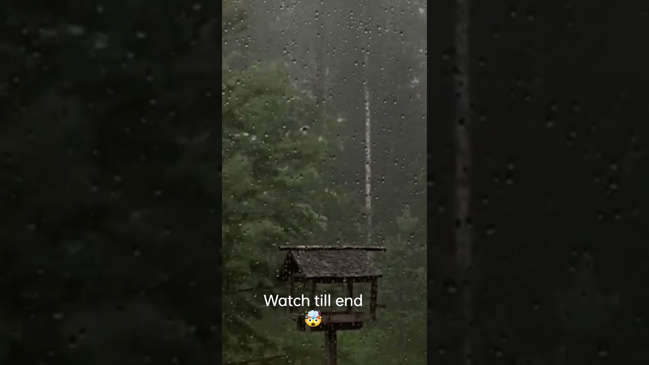 Enjoy the magical allure of rain ☔ and atmosphere||#rain #relaxingsound #meditationsounds #r #asmr