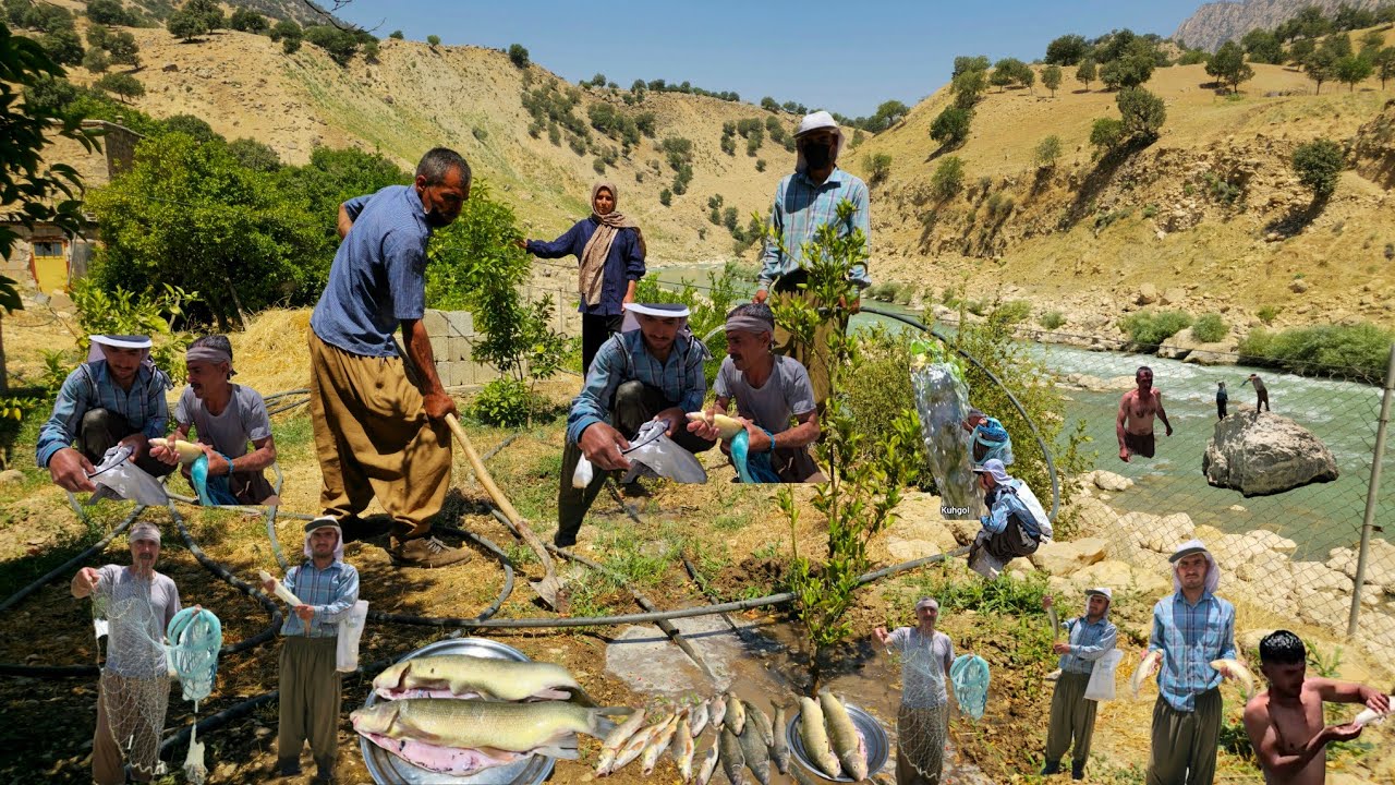 Nomadic Life: Nomadic Family Catching Fresh Fish and Swimming🏊| Nomadic Summer Adventure in nature🏞️