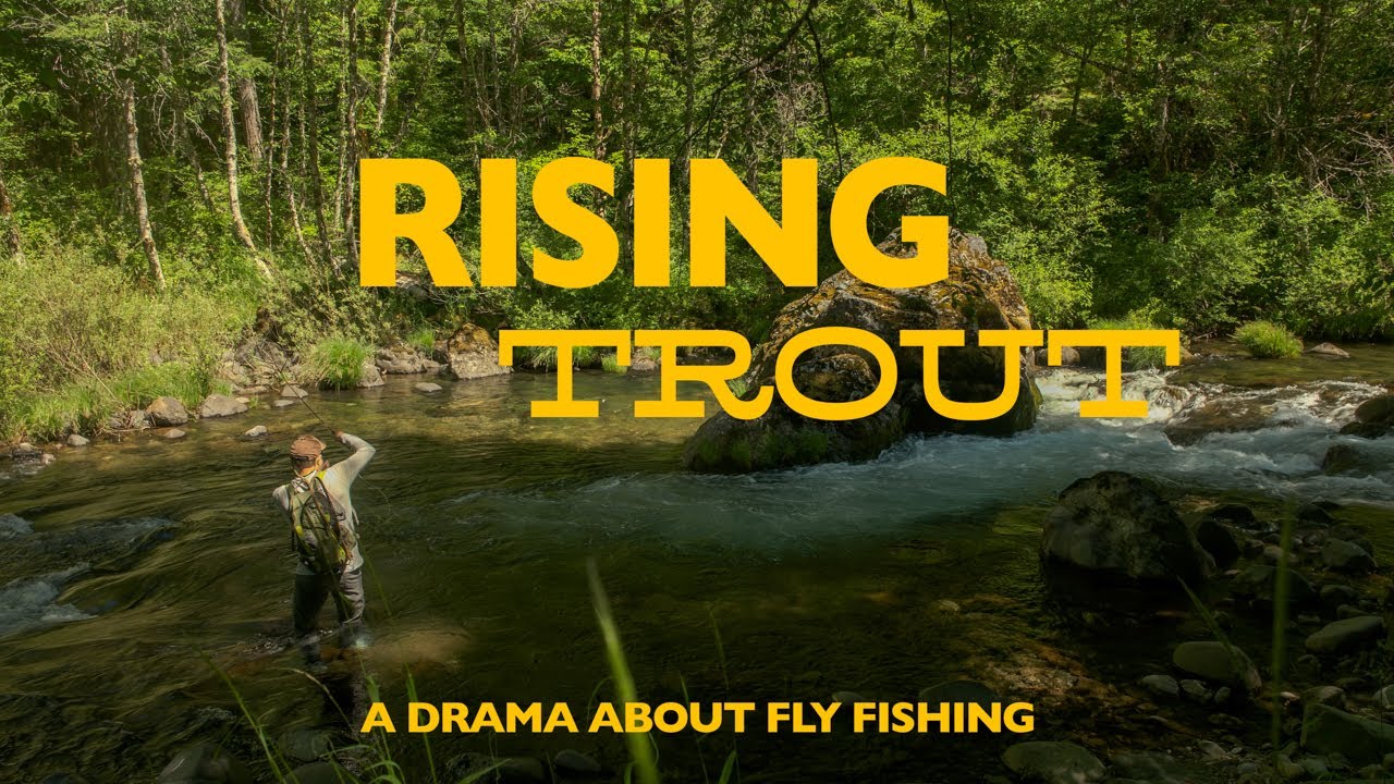 RISING TROUT | A Drama About Dry Fly Fishing For Trout & What To Do When Things Don't Go As Planned