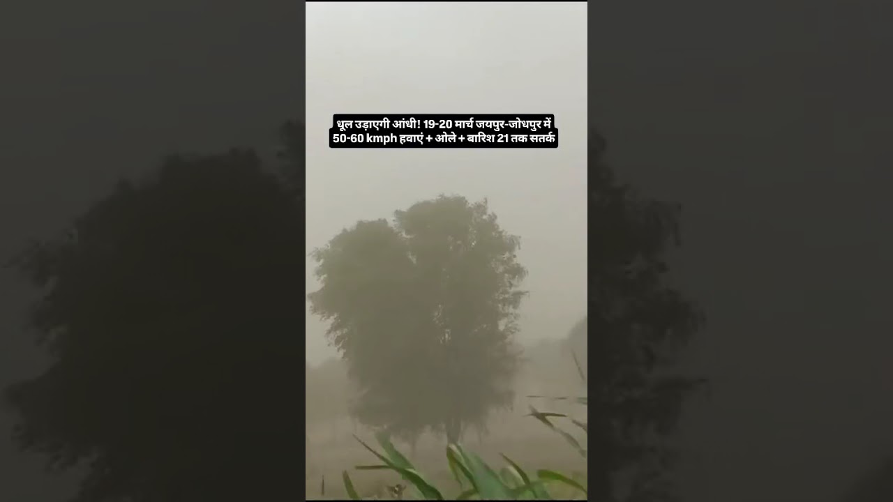 राजस्थान आंधी तूफान बारिश #mausam #rajasthan_ka_mausam #rajasthan MausamKharaab #RajasthanRain