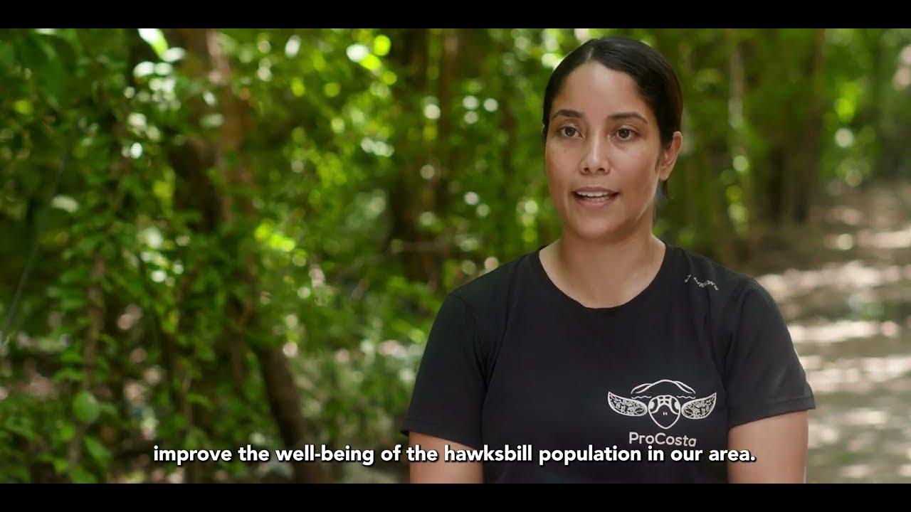 Olas De Esperanza: Building Community for Hawksbill Turtle Conservation