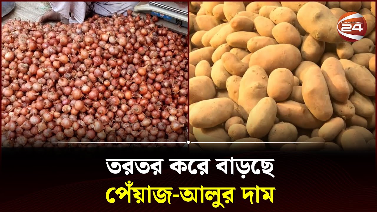 তরতর করে বাড়ছে পেঁয়াজ-আলুর দাম | Onion-Potato Price Hike | Kushtia | Bagura | Channel 24