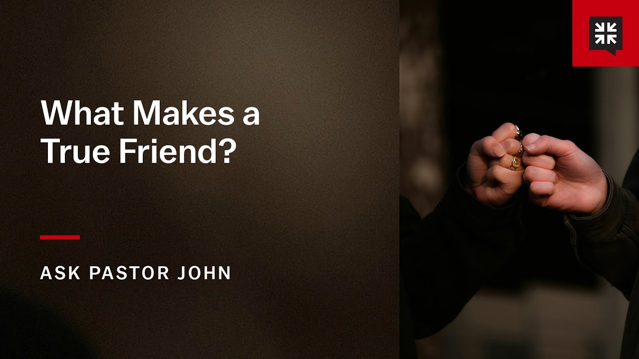 What Makes a True Friend?