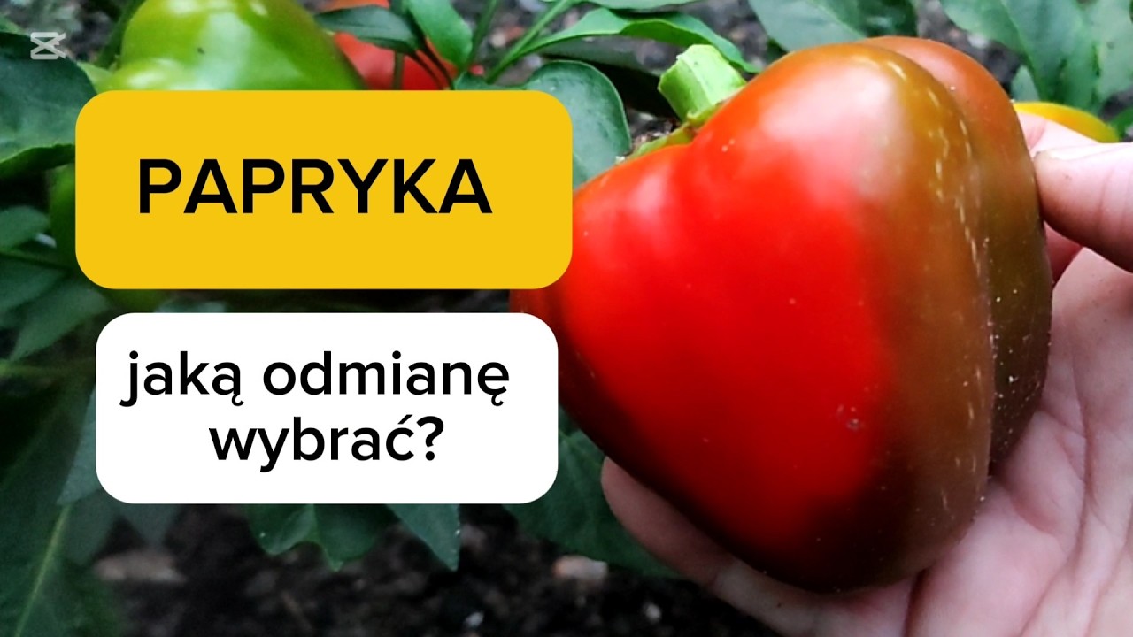 Перец какого сорта выбрать? 8 предложений.