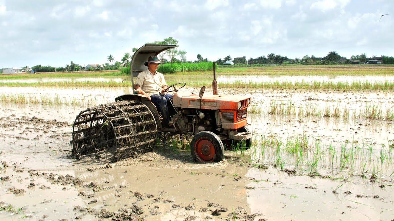 Máy Cày Kubota L2200 Gặp Khu Đất Lầy, Tài Xế Khá Vất Vả/ Tung Vlog
