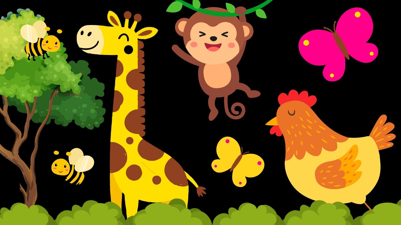Baby Sensory Video – High Contrast for Newborn – Sensory Videos for Babies - Infant Tummy Time #baby
