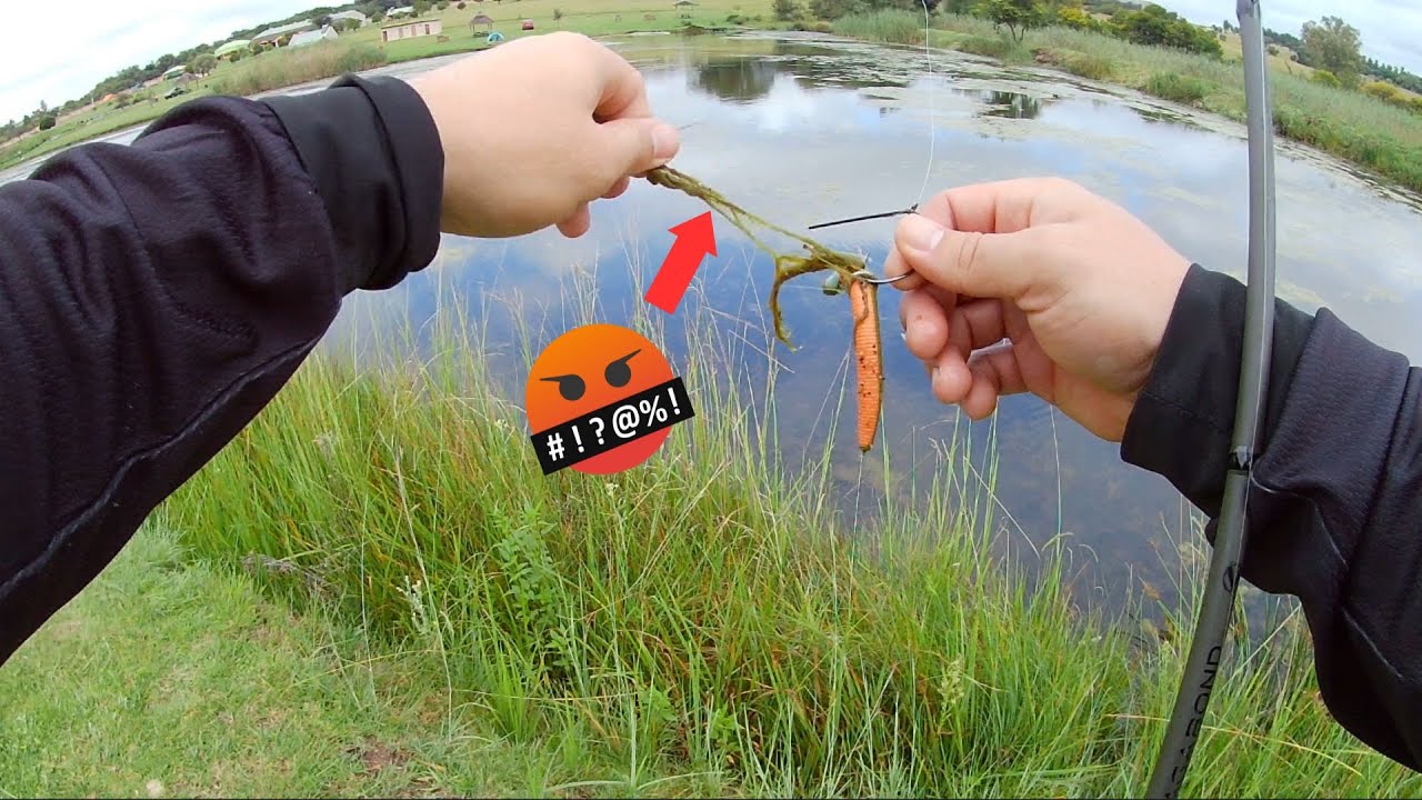 Bass Fishing in Joburg: Gnu Valley Farm