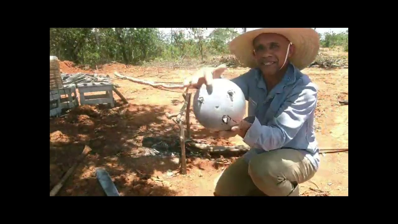 chacara do zero
novidades na chacara.