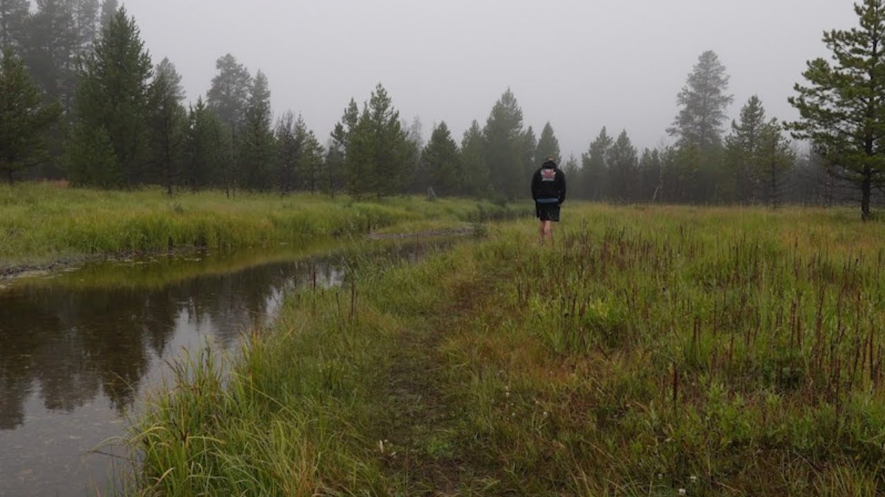 Cut Day 17 - Back & failed fly fishing