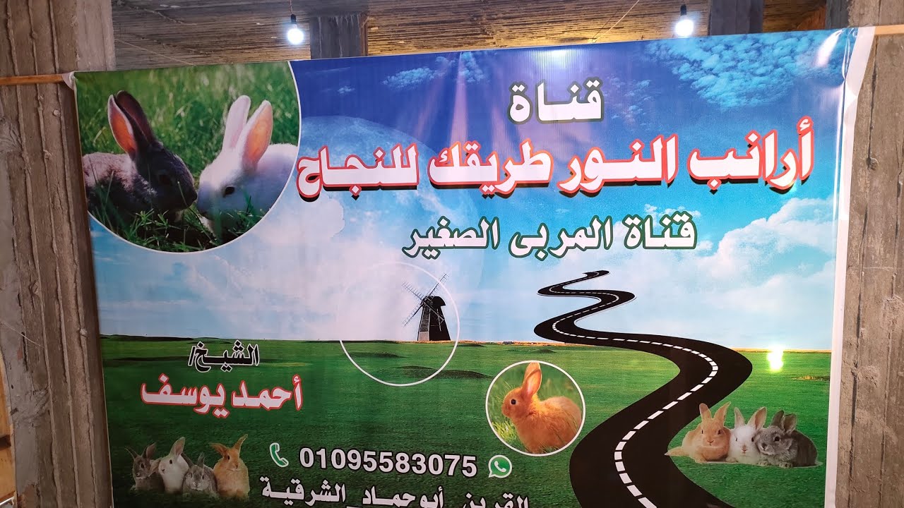علاج الجرب والوقاية خير من العلاج