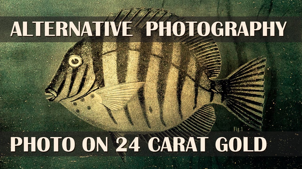 Alternative Photography - Making Resinotype on 24 Carat Gold
