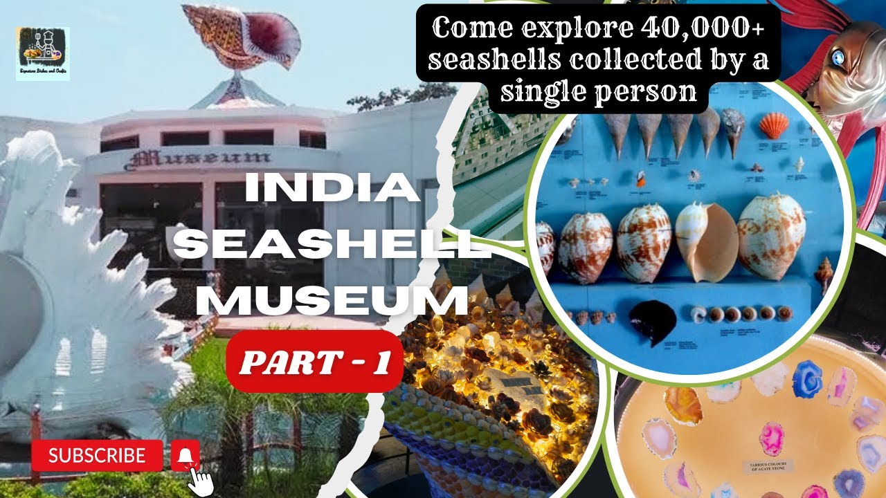 Explore the world's 2nd largest seashell museum in Chennai | INDIA SEASHELL MUSEUM - Part 1