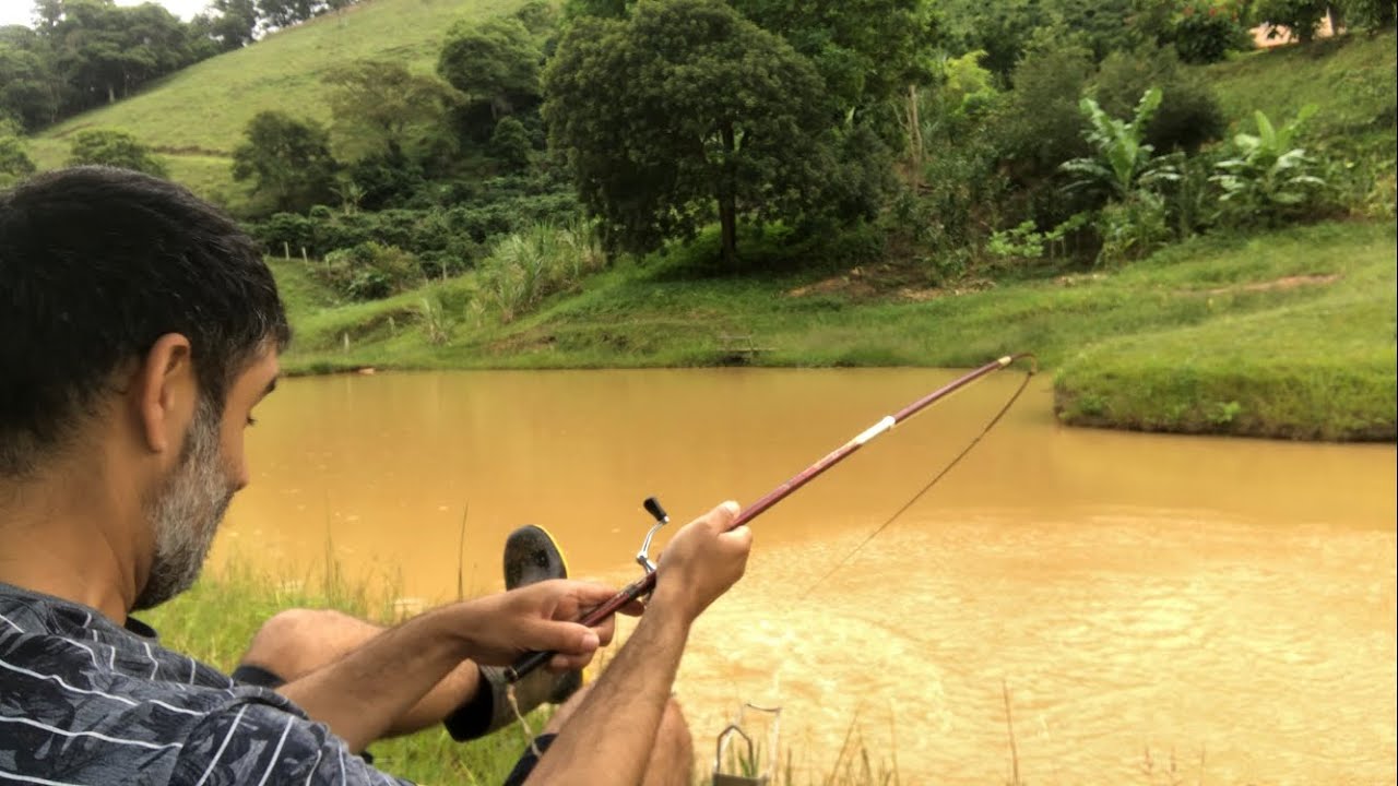 O MOLINETINHO FRITOU BONITO NESSA PESCARIA! TILAPIA, TAMBACU E PINTADO NA ULTRALITH.