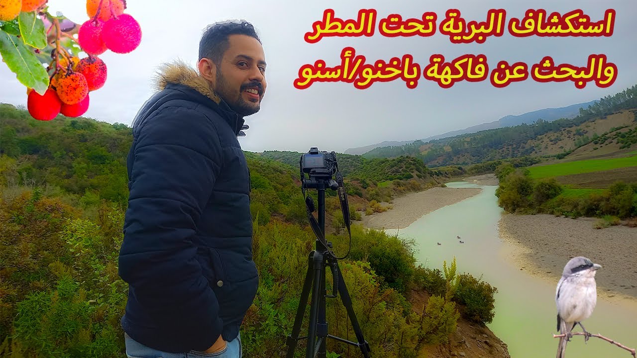 استكشاف البرية تحت المطر وجني  فاكهة باخنو أو أسنو من الغابة