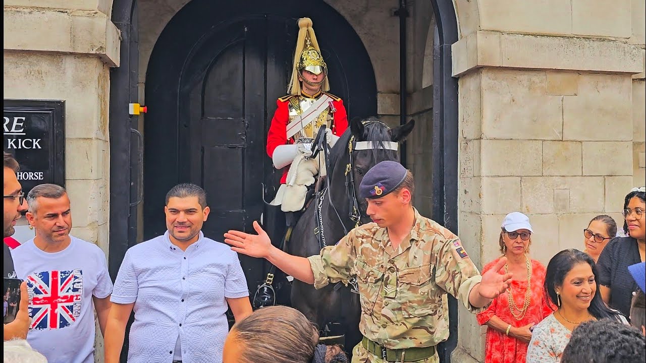 TOURIST ZOMBIES TOUCH THE HORSE EN MASSE AND THEN THIS HAPPENS at Horse Guards!!