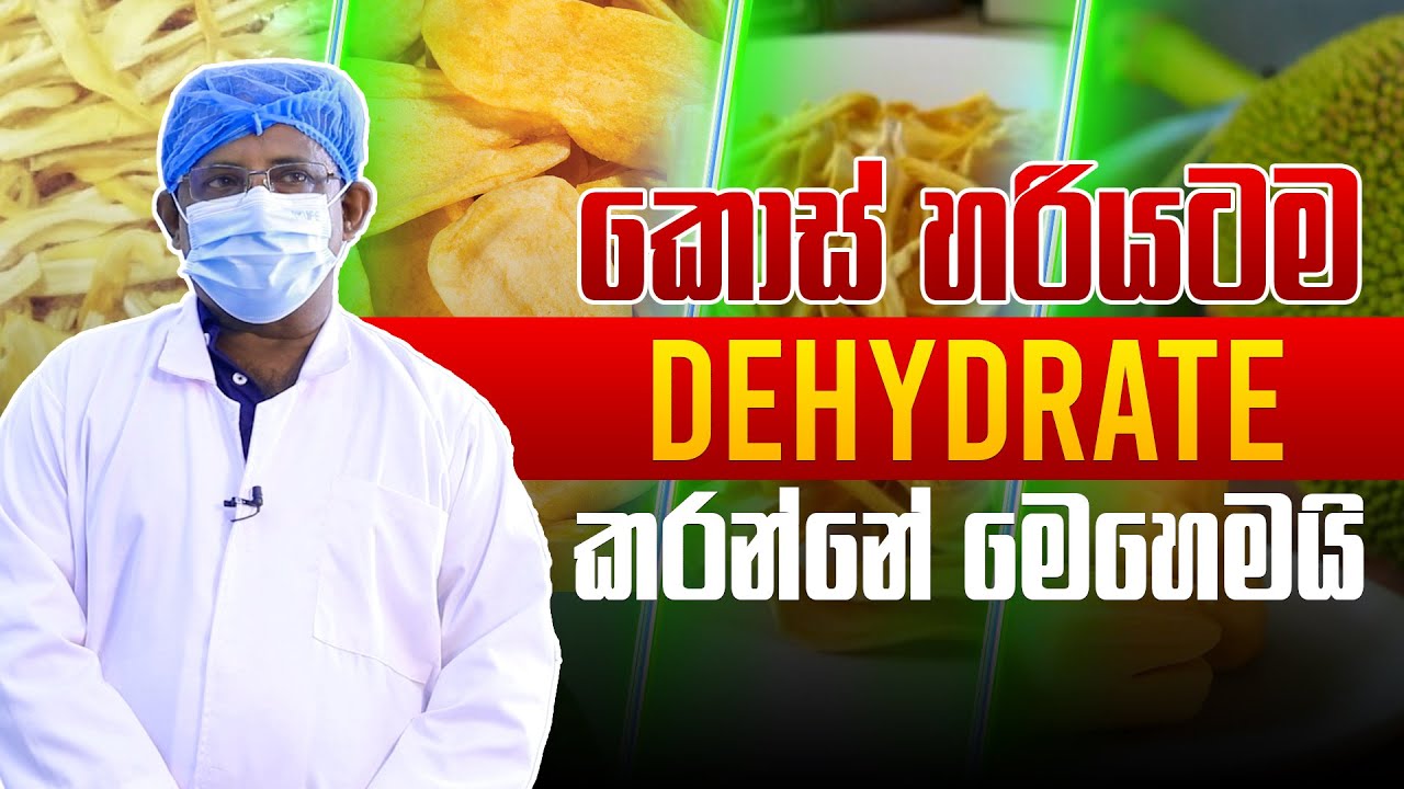 කොස් හරියටම Dehydrate කරන්නේ මෙහෙමයි