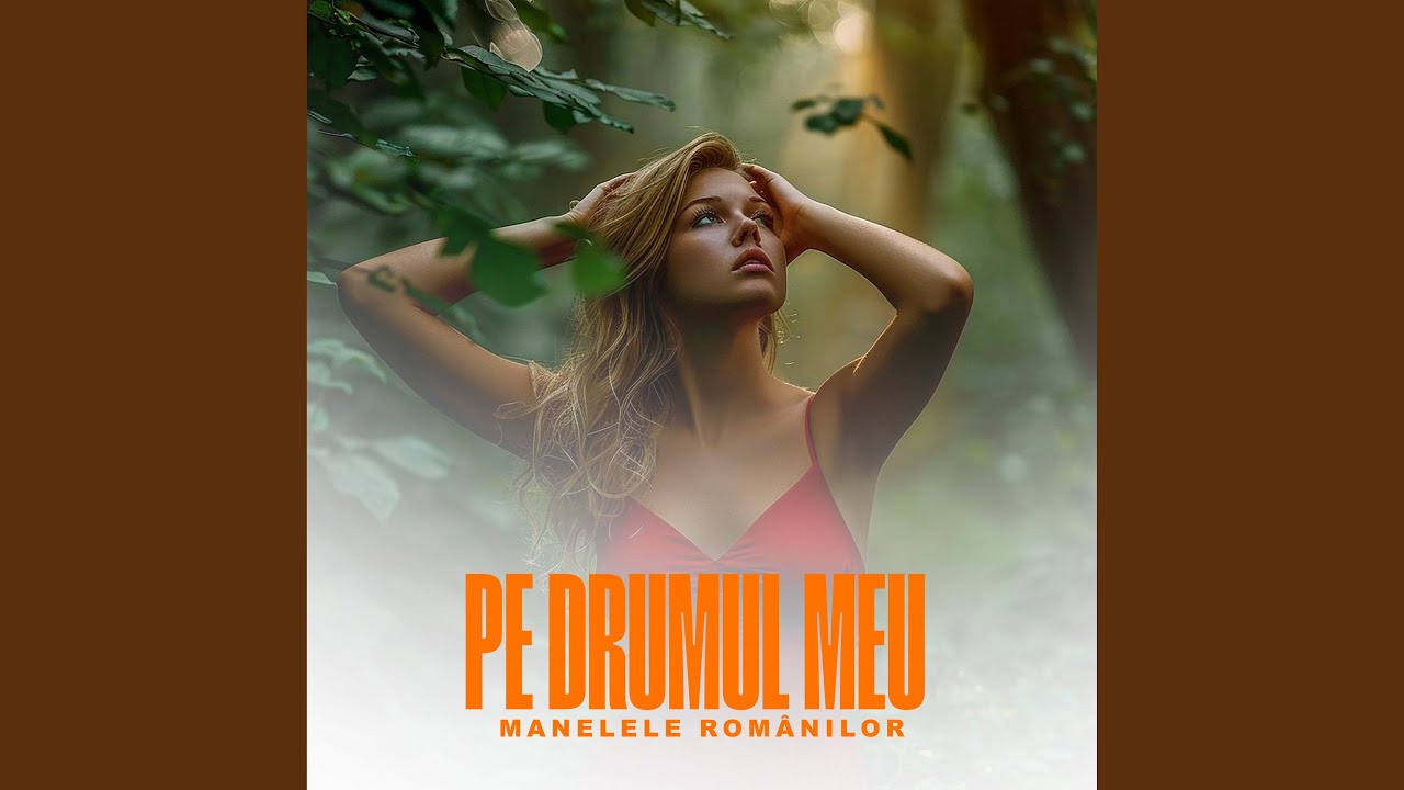 Pe drumul meu