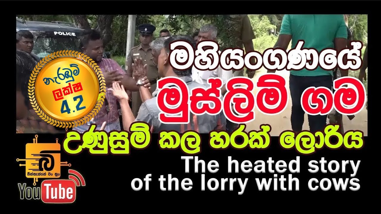 The heated story of the lorry with cows පගරගම්මන මුස්ලිම් ගම්මානය උණුසුම් කල හරක් ලොරිය