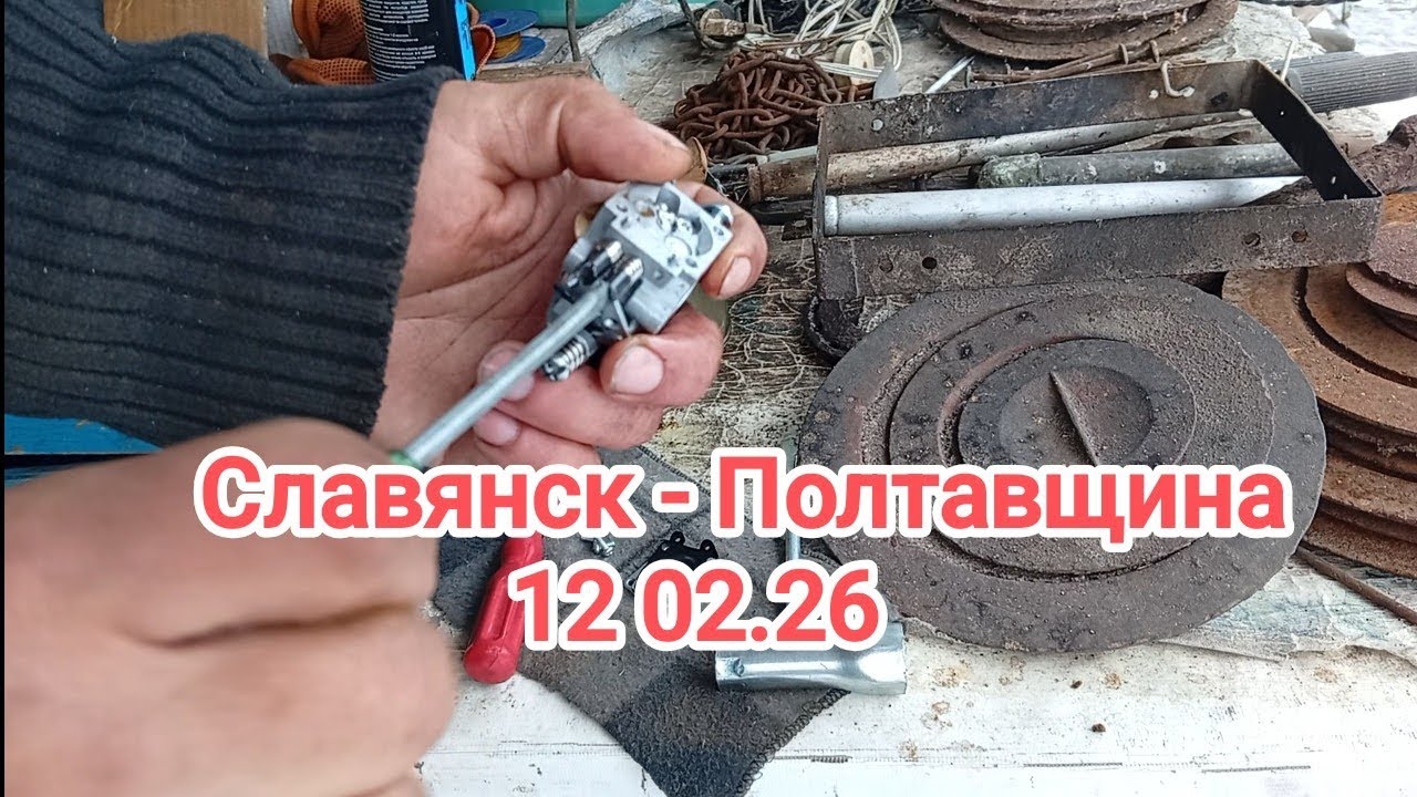 Обзор винограда на участке. Чистим карбюратор бензопилы.