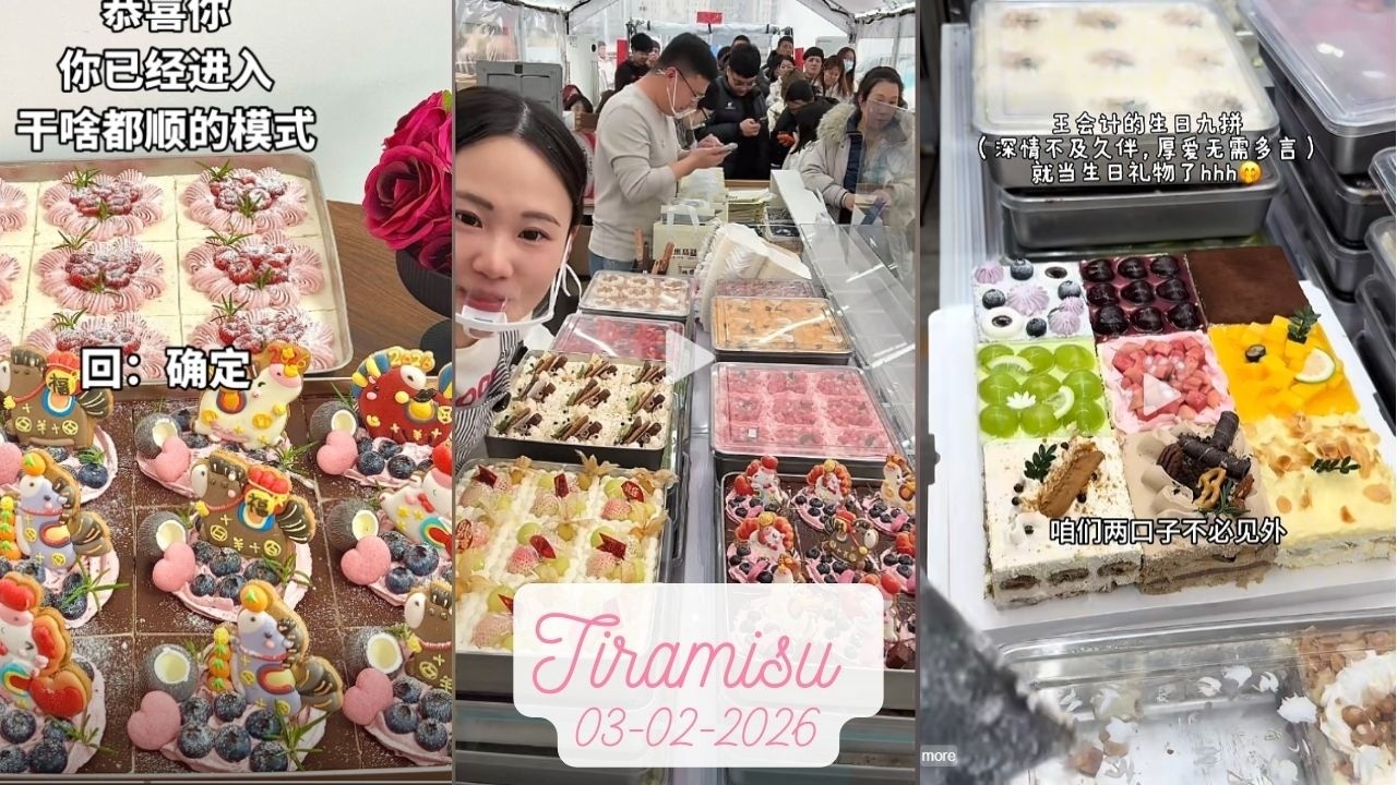 Tiramisu Cake Livestream Sale (100 trays)|Zhao Zhao #03022026 #tiramisu #cake #dessert