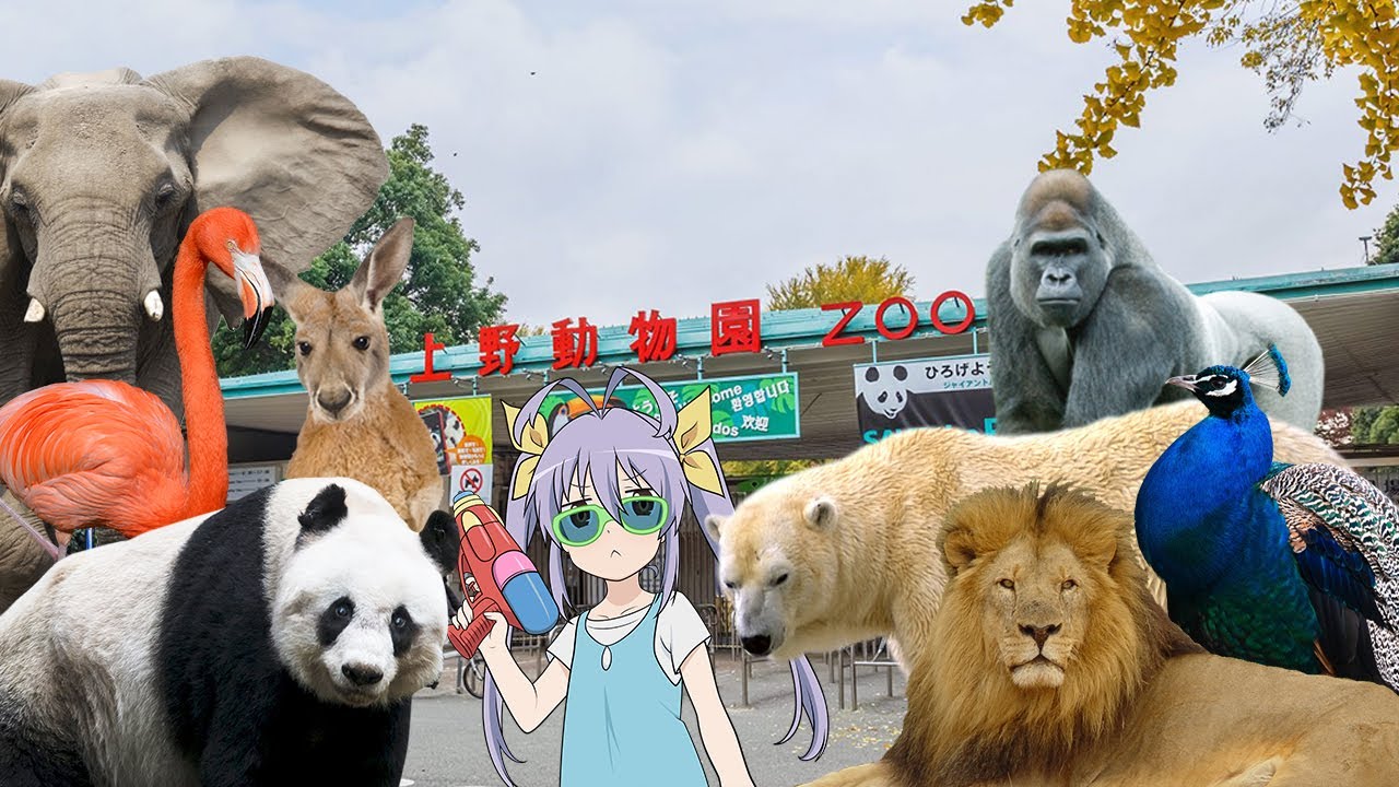 Ueno Zoo Animals Compilation set to Non Non Biyori