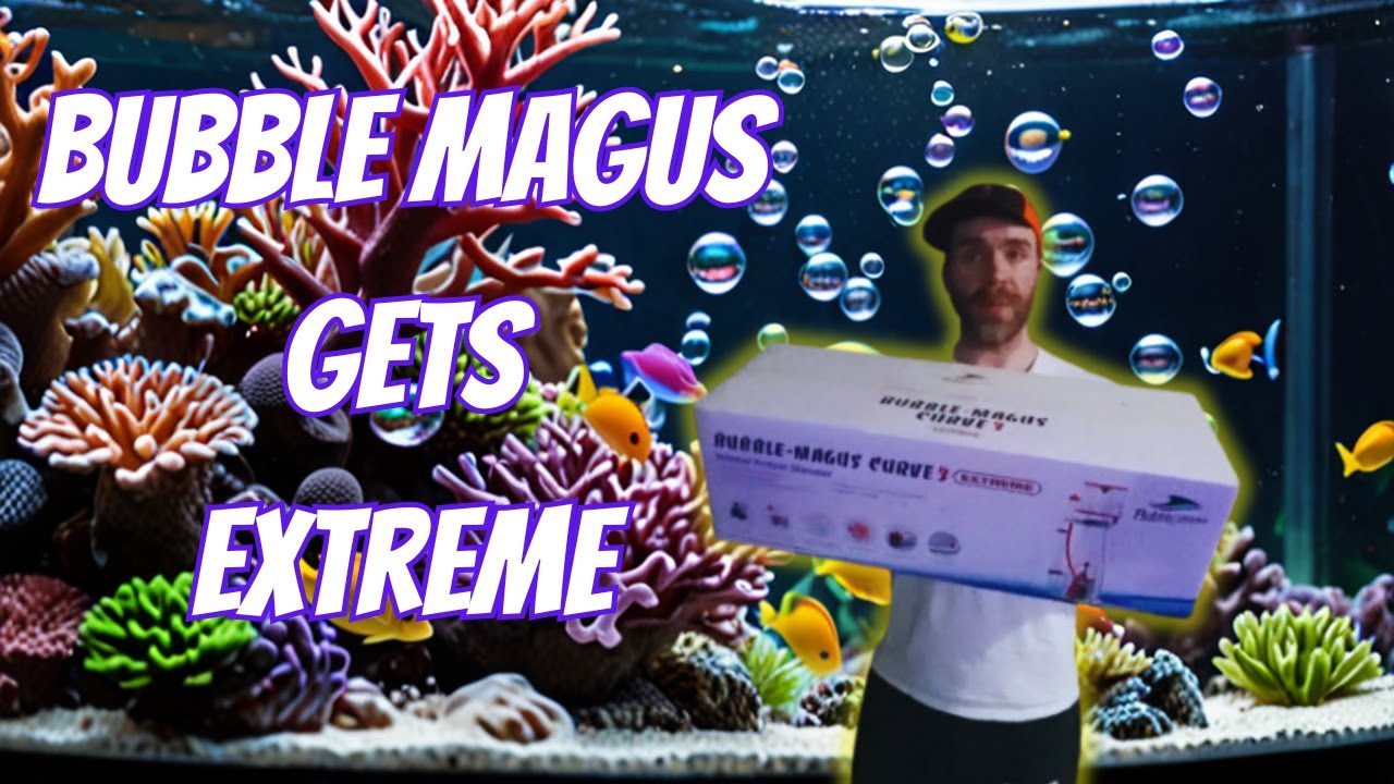 Правда о скиммере Bubble Magus Curve 3 Extreme