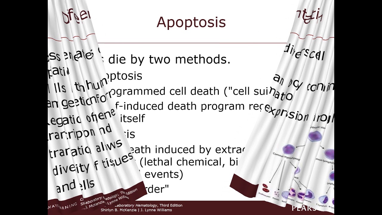 Chapter 2  - 4, Cellular Homeostasis and Structure and Function of Hematopoietic Organs