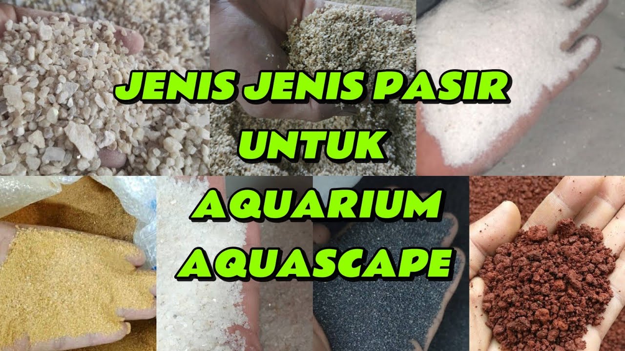 Mengenal Pasir Aquascape:  jenis,bentuk dan keunggulan