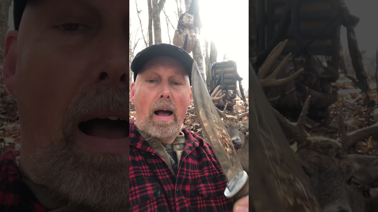 9 Pt Buck! No Field Dressing! #shortvideo #subscribe #archery #deer #fall #nature #hunting #shorts