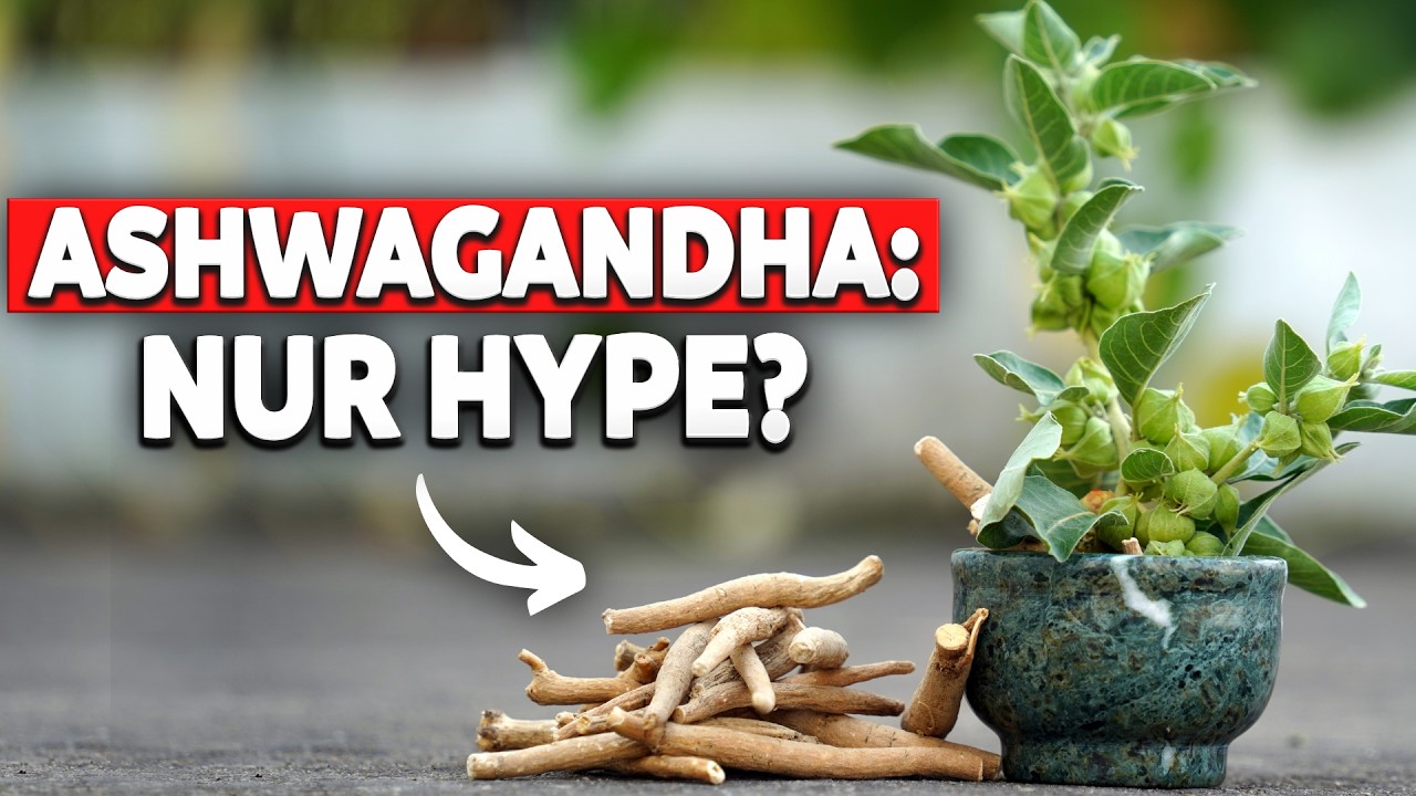Ashwagandha: Sinnvoll oder Quatsch? Ärztin klärt auf