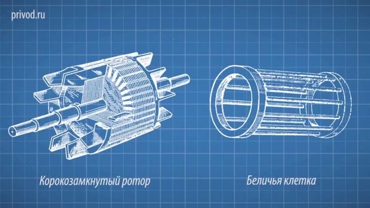 Модуль №3.  Принцип работы асинхронного электродвигателя.