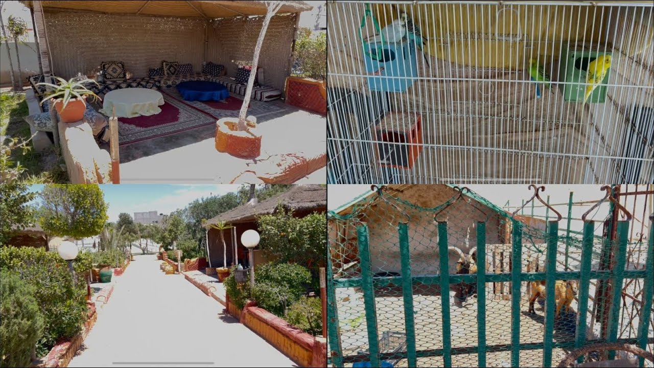 مطعم Beach Park. المرسى / العيون / المغرب