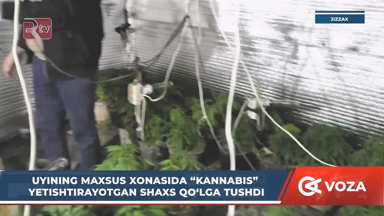 Uyining maxsus xonasida 