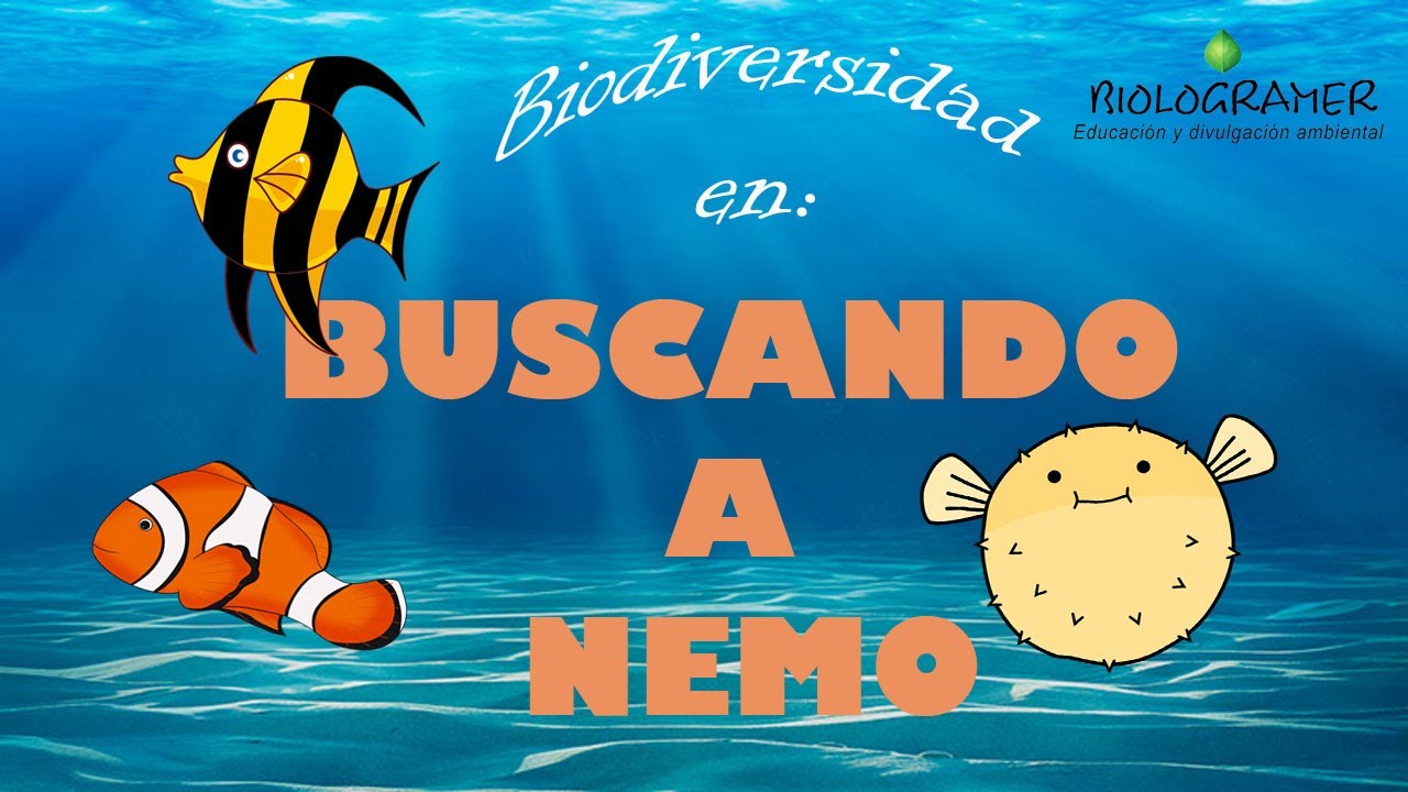 BIOLOGRAMER_EDUCACION AMBIENTAL_Biodiversidad en BUSCANDO A NEMO-