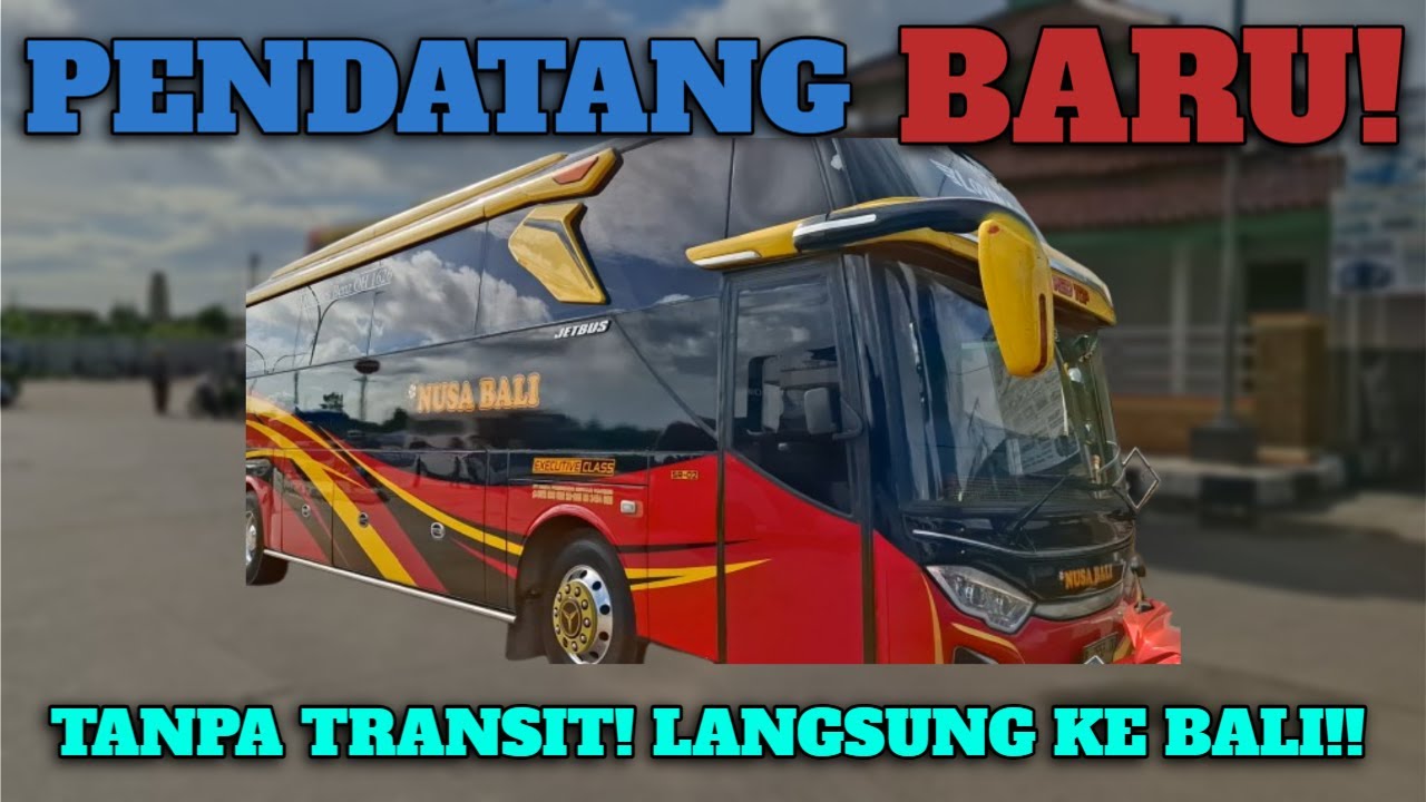 Pendatang Baru🔥! Tanpa Transit, Langsung Dari Serang Ke Pulau Dewata Bali😍😍😍