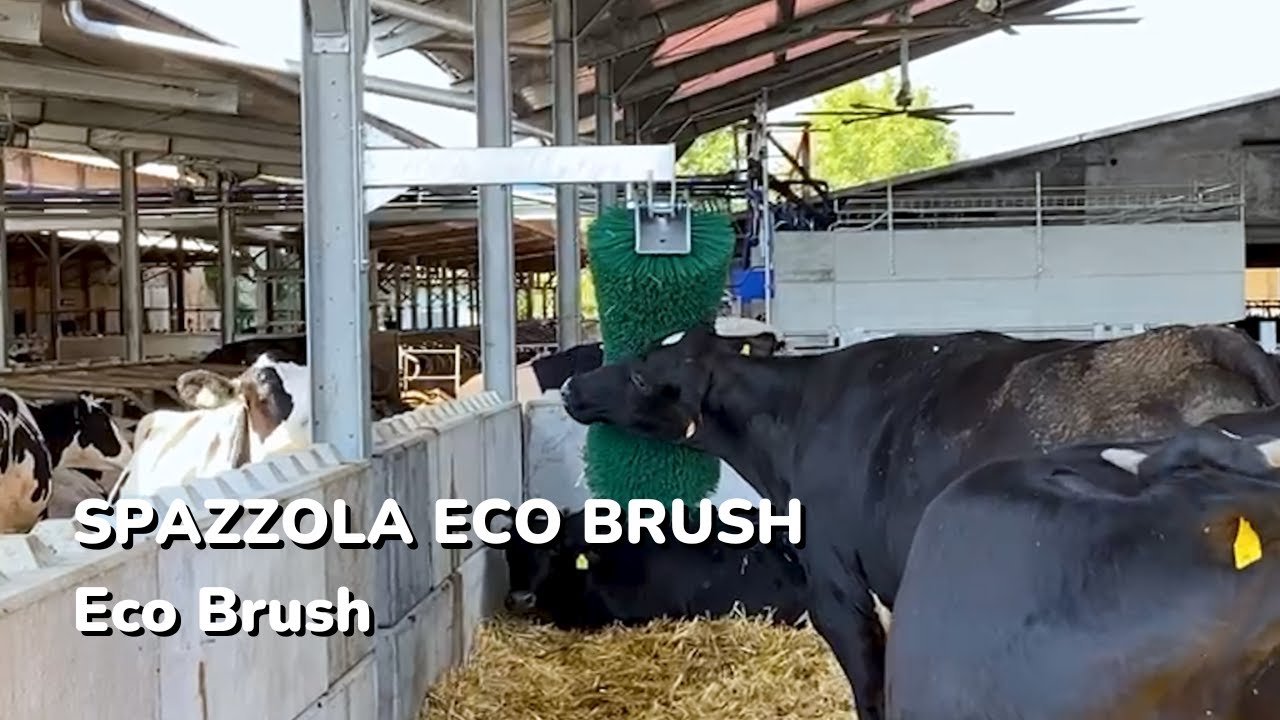 ECO BRUSH (Spazzola Eco Brush)