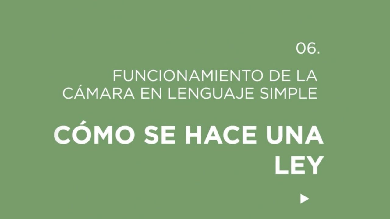 &iquest;C&oacute;mo se hace una ley?