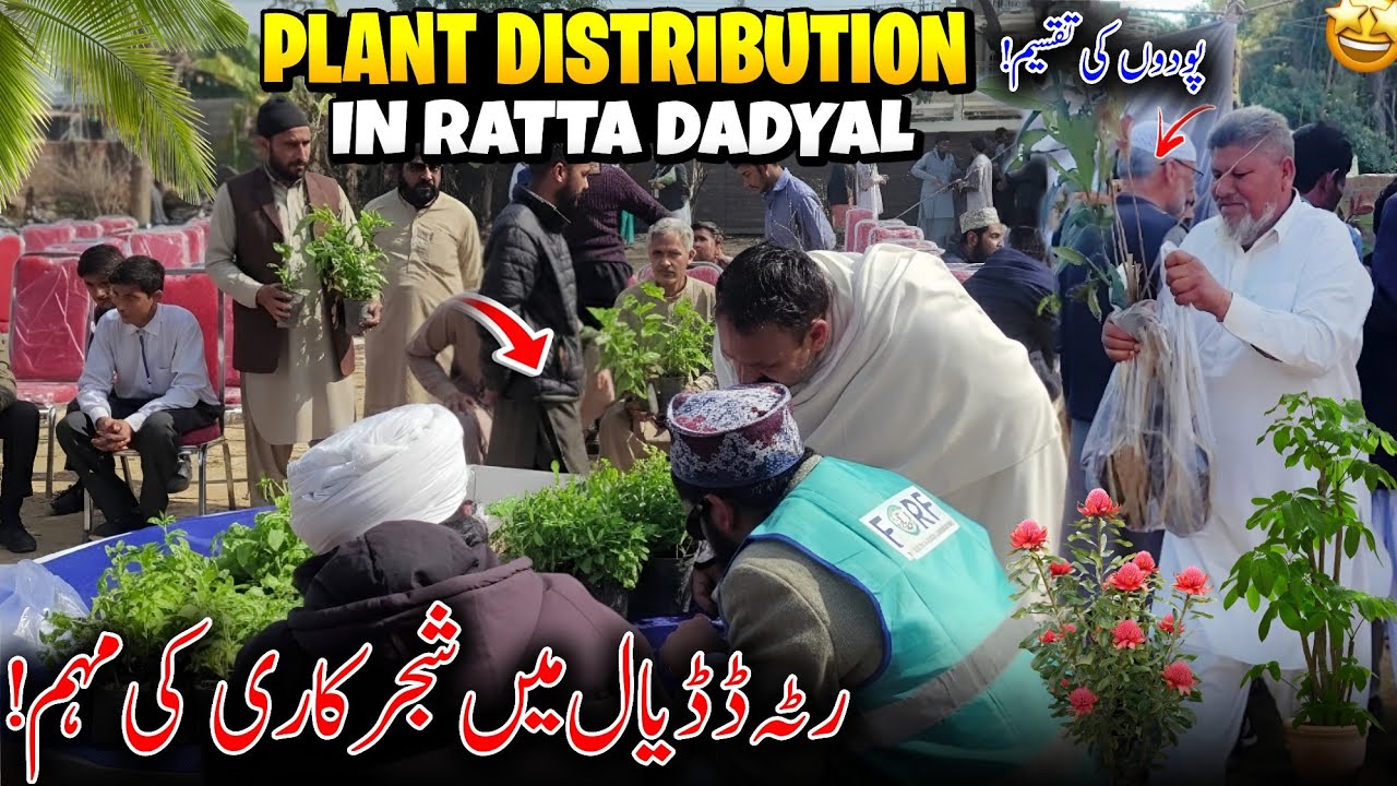 Plant Distribution In Ratta Dadyal 😍✨ Ratta Dadyal Mai Plants Ki Distribution | Family Vlog