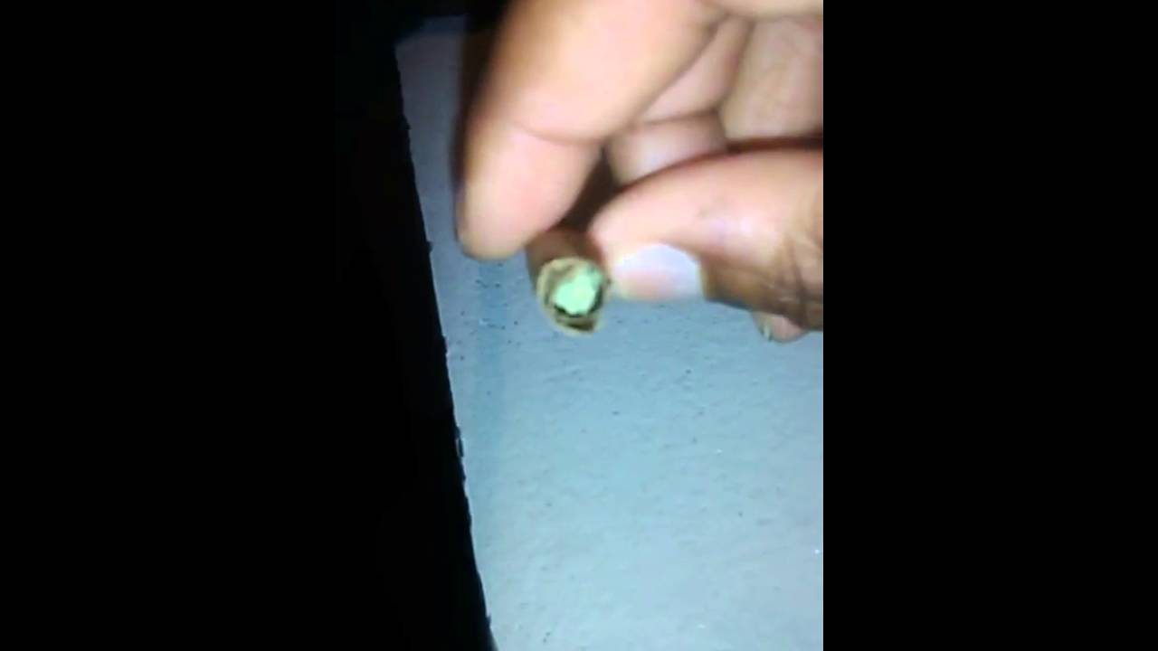 EXTENDO blunt