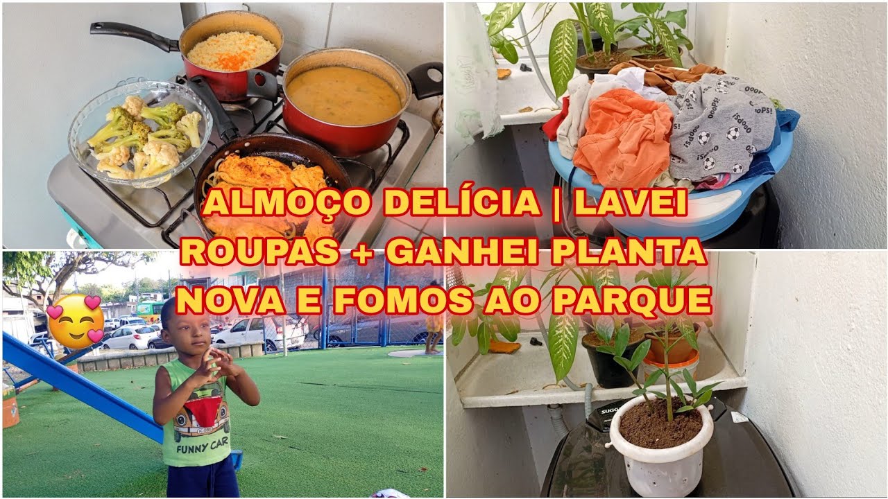 ALMOÇO DELÍCIA | LAVEI ROUPAS + GANHEI PLANTA NOVA | LEVEI ELE AO PARQUE E MAIS😍