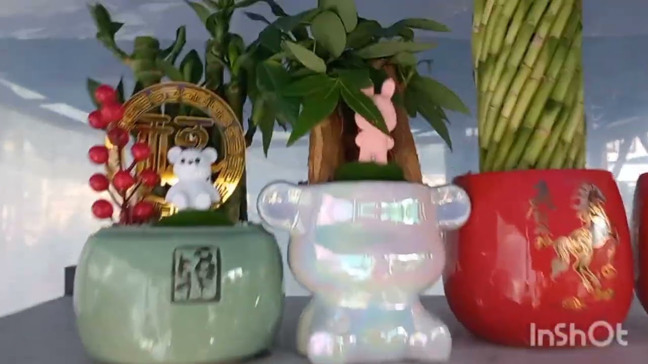 15 ФЕВРАЛЬ ЧОРСУ ГУЛЛАРИ🪷🏵🌷🪻🪷🏵🌷🪻🪷🏵🌷🪻⚘️🌱☘️🍀🍁🪴🍁
