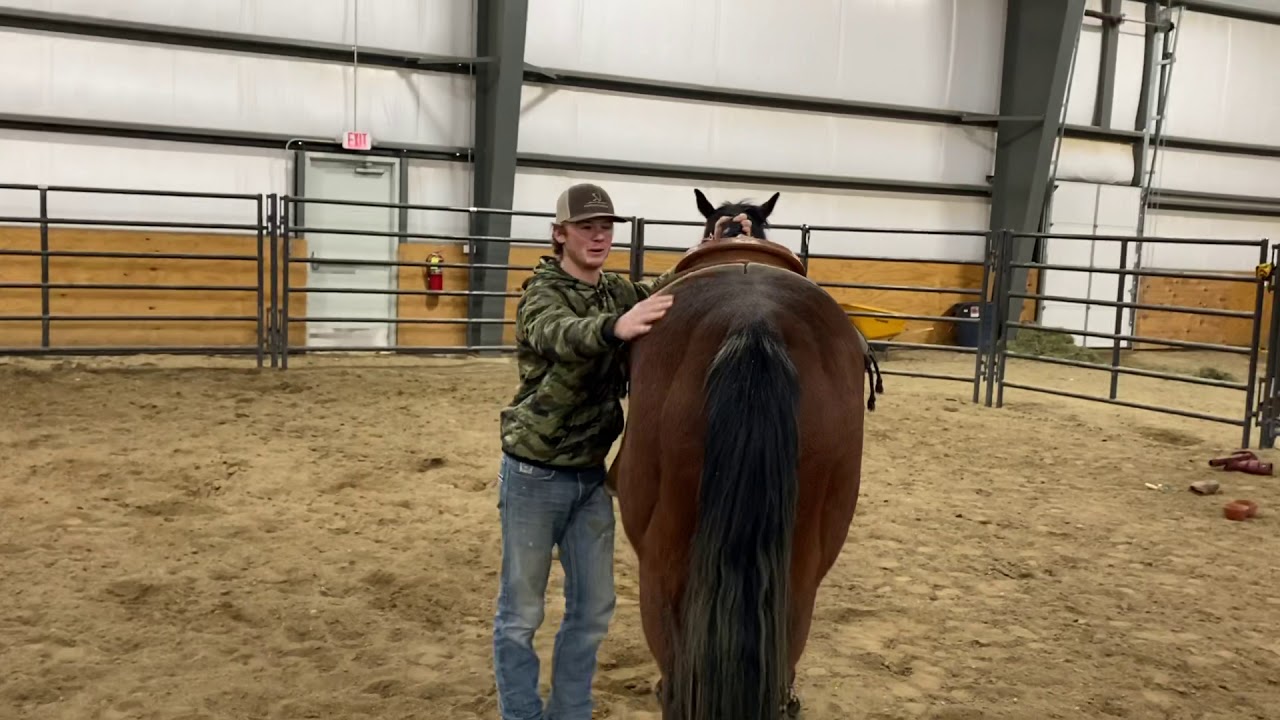 How to Ride a Bucking Colt