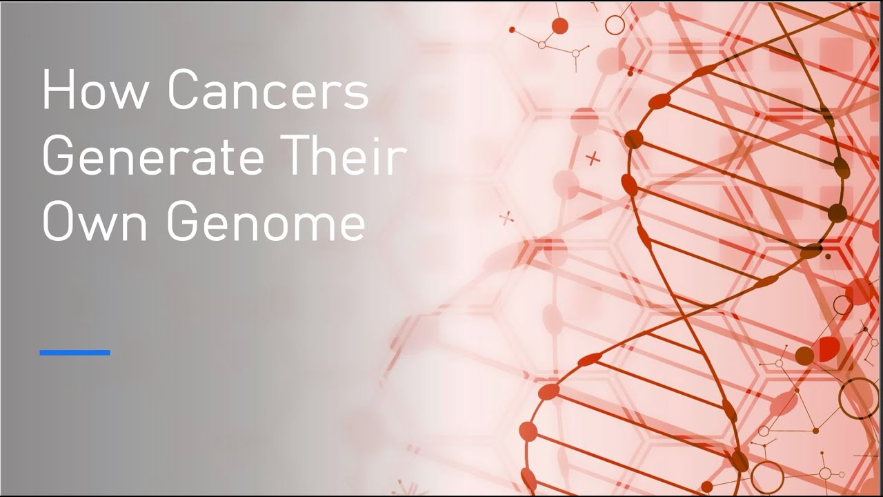 How Cancers Generate Their Own Genome | What is ecDNA?