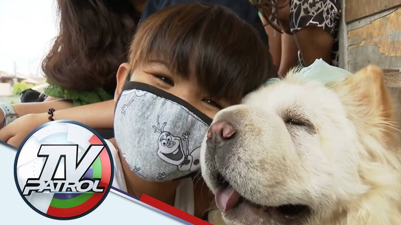Matapos mag-viral ang retrato, tulong bumuhos para sa batang nagbantay sa aso sa Taguig | TV Patrol