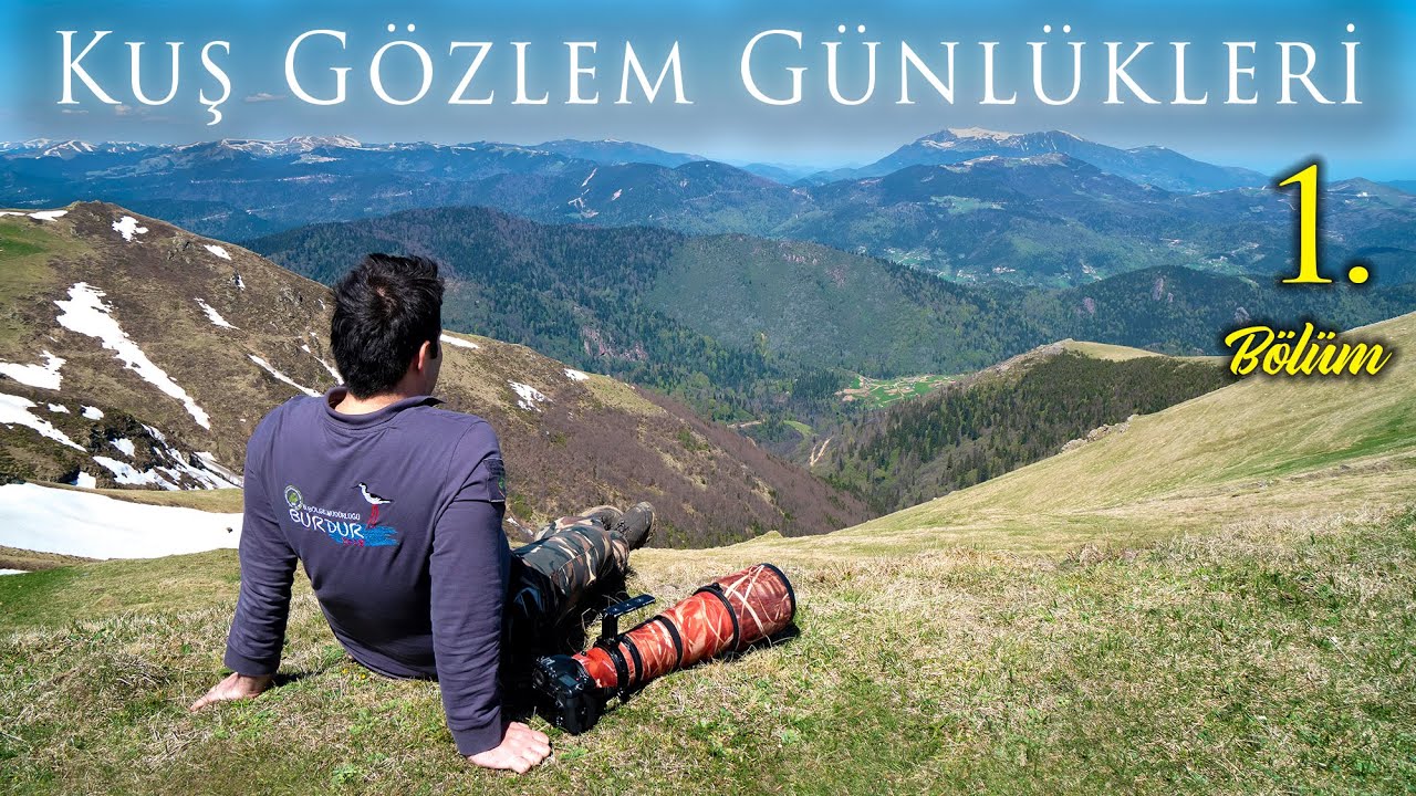 Yeni Başlayanlar İçin Kuş Gözlem Rehberi: İlk Adımlar ve İpuçları | Kuş Gözlem Günlükleri | KGG-1