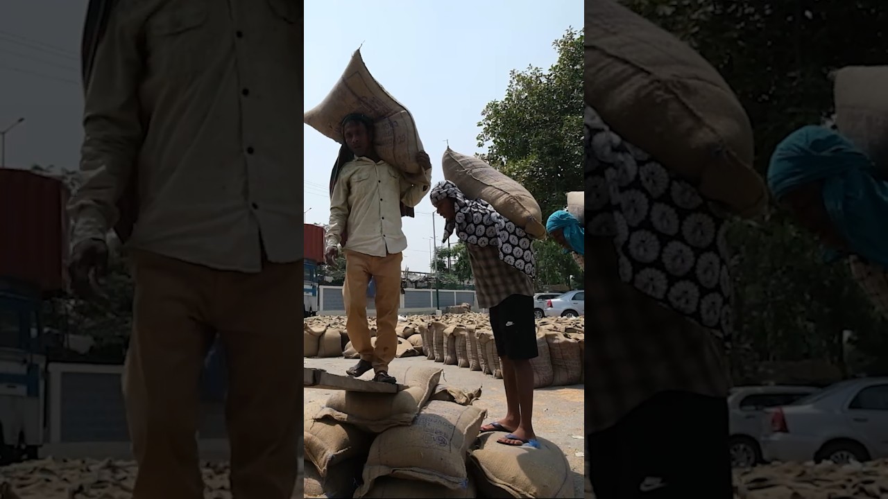 How Extreme Heat Is Pushing the Limits of Human Survival