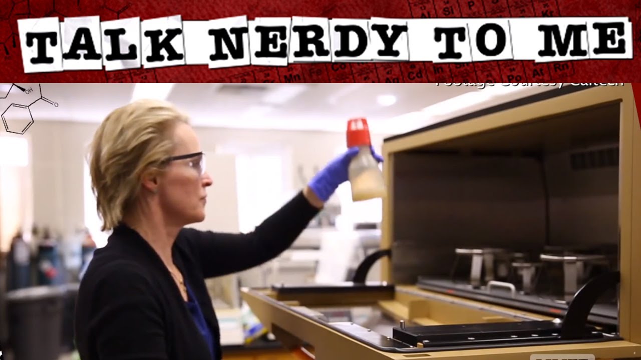 Directed Evolution & Sustainable Biofuels | Talk Nerdy To Me